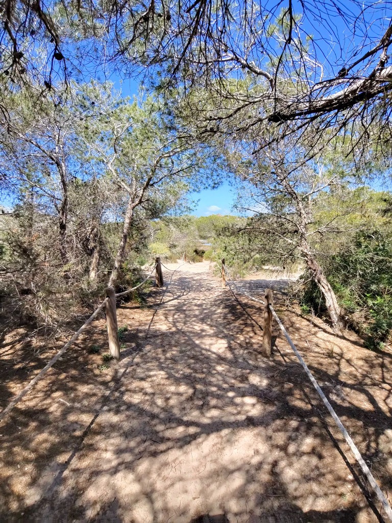 Mediterranean Pine Trail